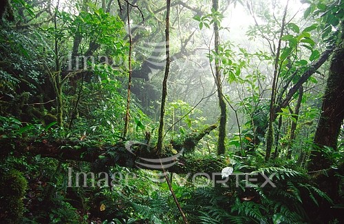 Nature / landscape royalty free stock image #163432596