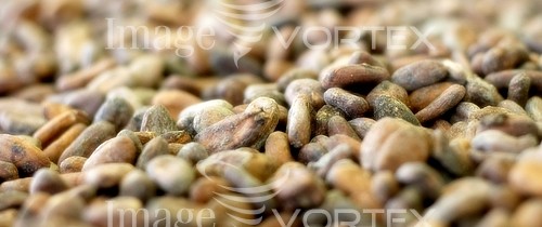 Food / drink royalty free stock image #167457635