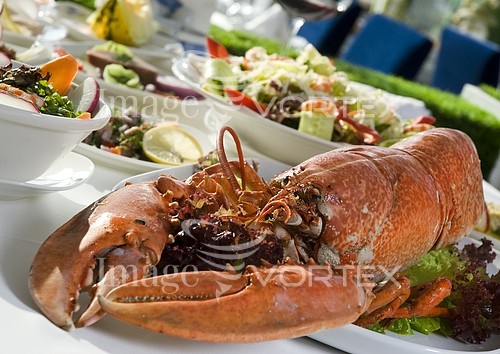 Food / drink royalty free stock image #167505937