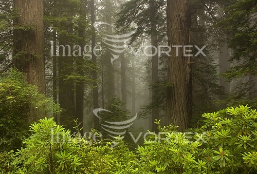 Nature / landscape royalty free stock image #168941933