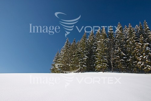 Nature / landscape royalty free stock image #168228140