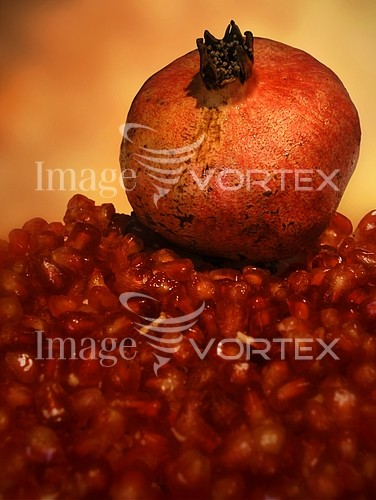 Food / drink royalty free stock image #168845502