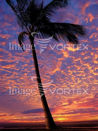 Sunset / sunrise royalty free stock image #168285824