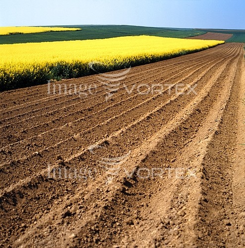 Industry / agriculture royalty free stock image #169345377