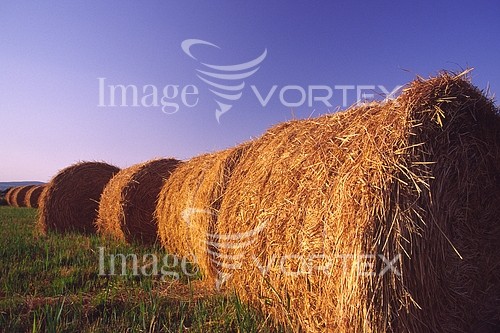 Industry / agriculture royalty free stock image #169502363