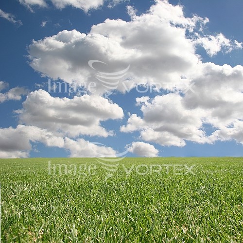 Nature / landscape royalty free stock image #169930791