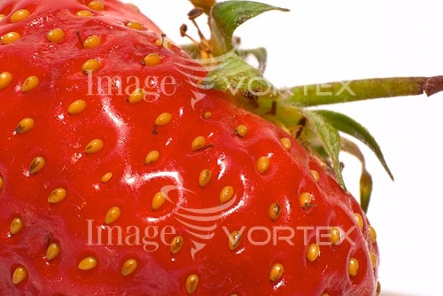 Food / drink royalty free stock image #169882618