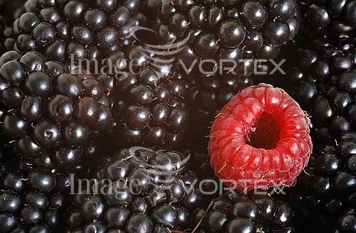 Food / drink royalty free stock image #170042662