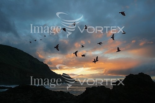 Sunset / sunrise royalty free stock image #173009674