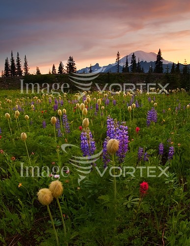 Nature / landscape royalty free stock image #174713716