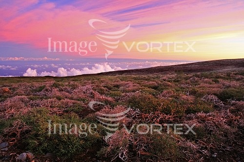 Nature / landscape royalty free stock image #174971022