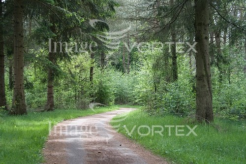 Nature / landscape royalty free stock image #174664485