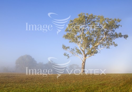 Nature / landscape royalty free stock image #176635630