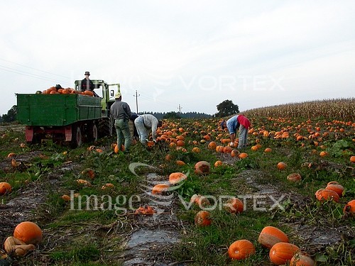 Industry / agriculture royalty free stock image #178670821