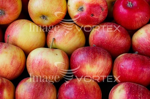 Food / drink royalty free stock image #181633146