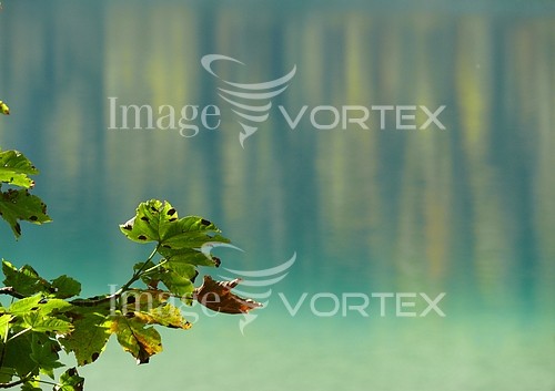 Nature / landscape royalty free stock image #181256653