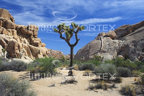 Nature / landscape royalty free stock image #181259803