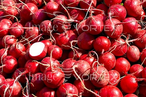 Food / drink royalty free stock image #181843695