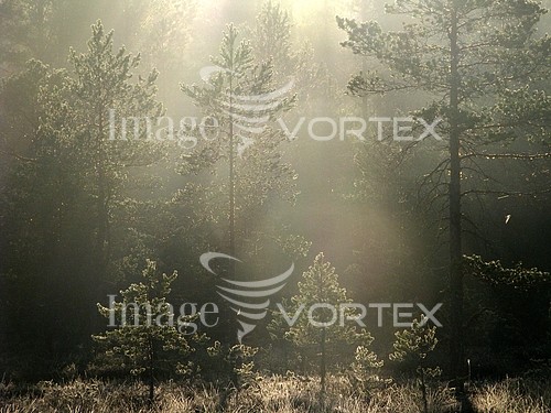 Nature / landscape royalty free stock image #181438223