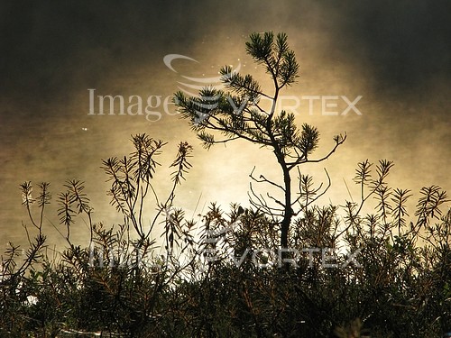 Nature / landscape royalty free stock image #181468331