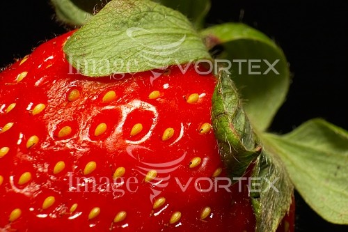 Food / drink royalty free stock image #184055272