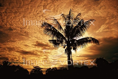 Sunset / sunrise royalty free stock image #184637238