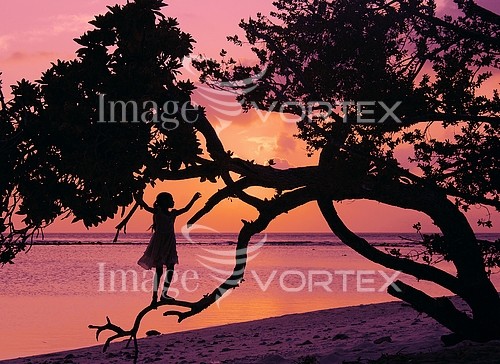 Sunset / sunrise royalty free stock image #185823790