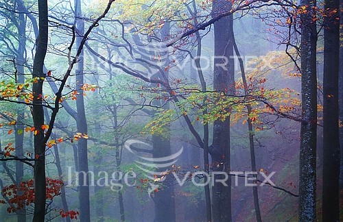 Nature / landscape royalty free stock image #185695118