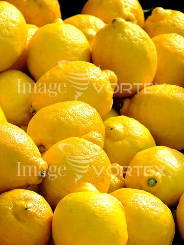 Food / drink royalty free stock image #186593889