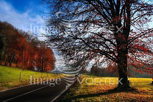 Nature / landscape royalty free stock image #187967906