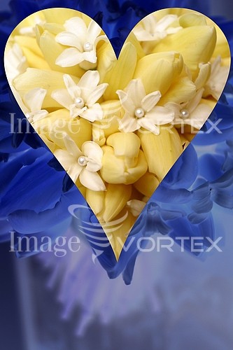 Flower royalty free stock image #190952437