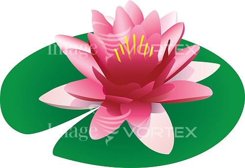 Flower royalty free stock image #190283902