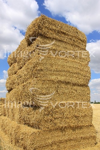 Industry / agriculture royalty free stock image #191649271