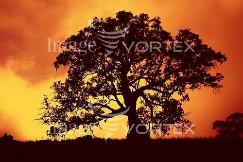 Sunset / sunrise royalty free stock image #191328363