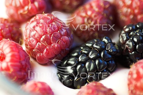 Food / drink royalty free stock image #191978382