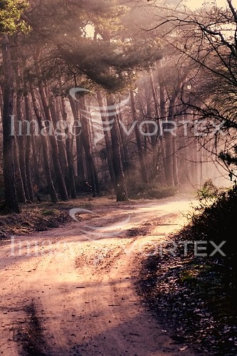 Nature / landscape royalty free stock image #193162613