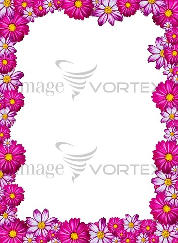 Flower royalty free stock image #194314859