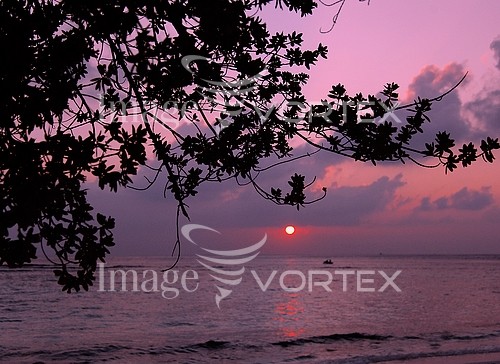 Sunset / sunrise royalty free stock image #195754483