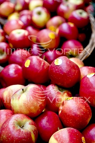 Food / drink royalty free stock image #196855173