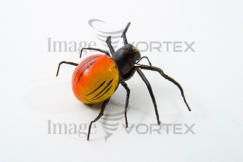 Insect / spider royalty free stock image #196041967