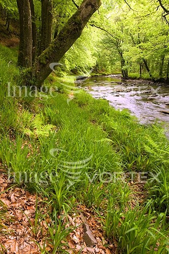 Nature / landscape royalty free stock image #198198391