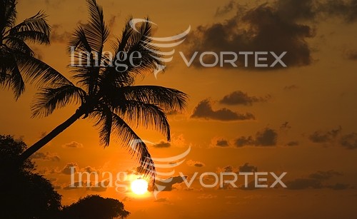 Sunset / sunrise royalty free stock image #198370252