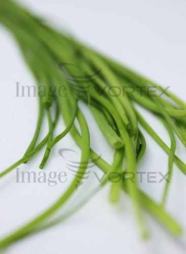 Food / drink royalty free stock image #199772091
