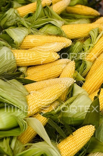 Food / drink royalty free stock image #200343089