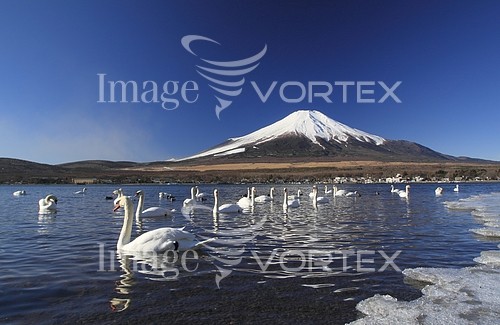 Nature / landscape royalty free stock image #200212694