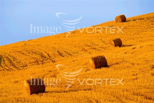 Industry / agriculture royalty free stock image #201629101