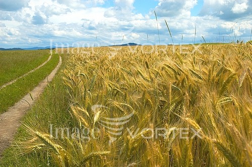 Industry / agriculture royalty free stock image #201034935