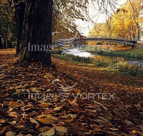 Park / outdoor royalty free stock image #202292825