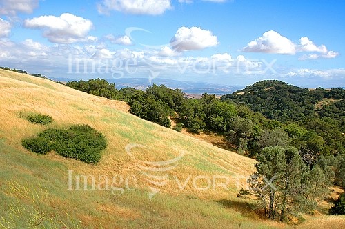 Nature / landscape royalty free stock image #203845634