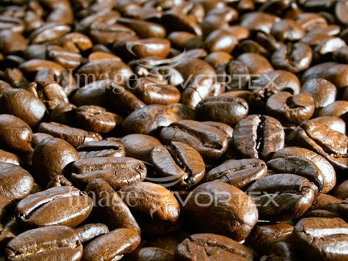 Food / drink royalty free stock image #204435287